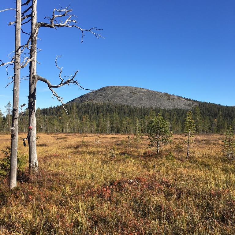 Villa Kelomaja Yllaes Äkäslompolo Esterno foto